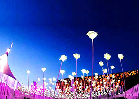 国际星河玫瑰艺术展