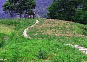 恩施花花大世界
