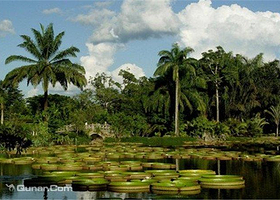 乌鲁淡布伦国家公园