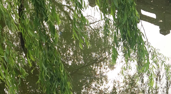 Qunar本地玩乐