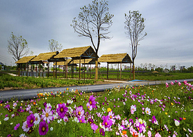 张家港初见香草园