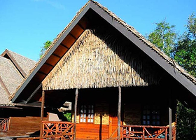 沙巴山打根自然生态