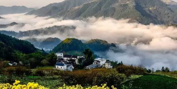 歙县坡山村门票,歙县坡山村门票预订,歙县坡山村门票价格,去哪儿网门票
