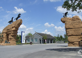 泰州凤城河田园牧歌景区