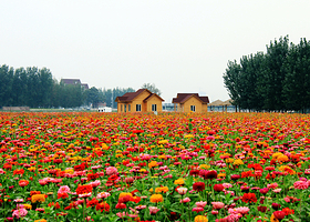 北运河休闲旅游驿站