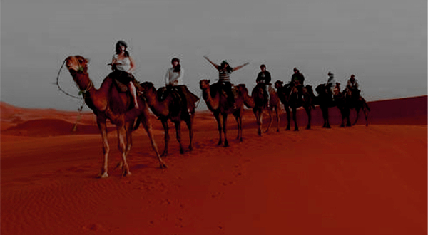 阿联酋阿布扎比夜间观光游玩