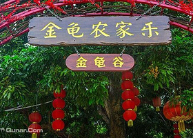 深圳金龟农家乐
