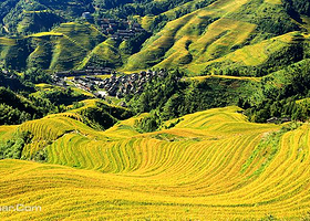 九龙五虎观景点