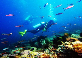 青岛奥帆中心蓝誉潜水体验