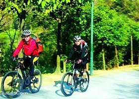 新喜德盛自行车服务部