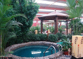 金孔雀温泉欢乐水世界