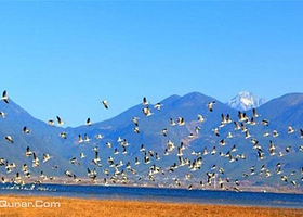 拉市海达人马场