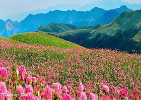 贵州阿西里西