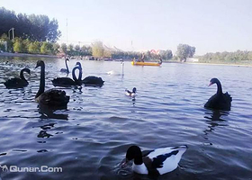 唐山南湖天鹅湖景区
