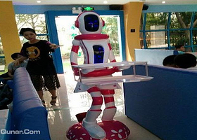 幻影机器人庄园