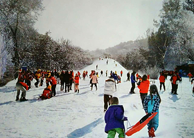 莱芜雪野迷你滑雪场