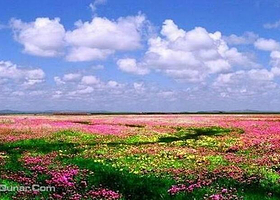 若尔盖湿地自然保护区