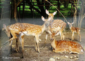 莱茵河原生态农场