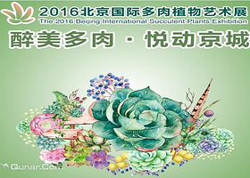 北京国际多肉植物艺术展