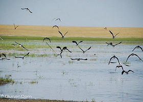 鹤之洲湿地公园