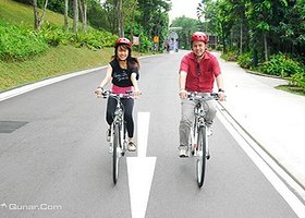 新加坡圣淘沙Gogreen Bicycle Rental自行车租赁
