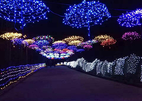 金牛古镇国倾城际梦幻灯光节