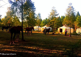 上海丹尼尔海湾马术俱乐部