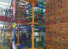 神童驾到童军营