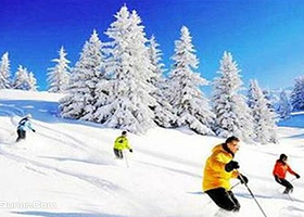 徐州泉山森林公园滑雪场