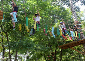 酷酷乐奇果丛林