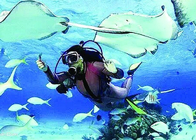 沙美岛海底漫步