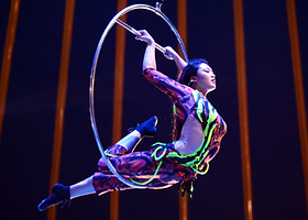 宏兴大剧院马戏