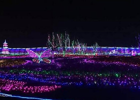 兴义润黔花海国际灯光节