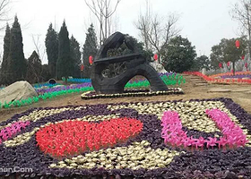 舜帝陵萌宠花世界