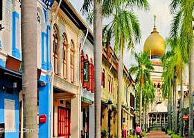 新加坡随上随下观光巴士