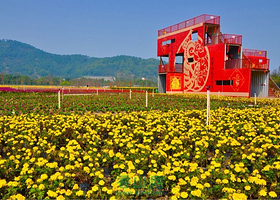 广东逸丰生态园