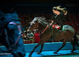 皇家马戏艺术无锡欢乐海洋世界嘉年华