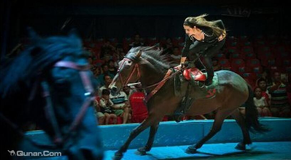 皇家马戏艺术无锡欢乐海洋世界嘉年华