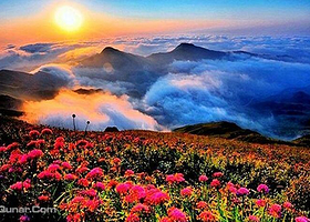 天上花海景区