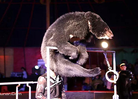 美栗世界吴桥大马戏