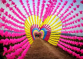 芦荟风车灯光展