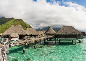 沙巴亚庇市区自行车