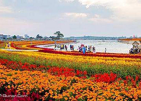 宾阳花海景区