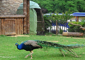 鸟语林(滨海中路店)