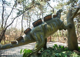 37°梦幻海森林乐园