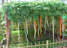 聚之乐休闲农业园