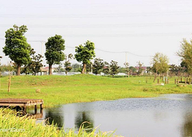 太湖绿洲垂钓中心