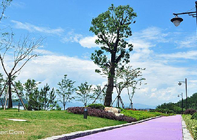 千岛湖排岭半岛绿道营地