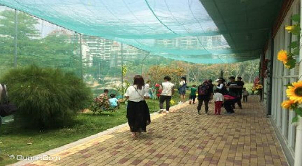 海沧儿童公园蝴蝶生态园