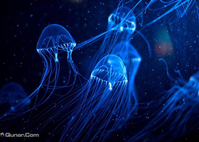 海上世界梦幻水母馆